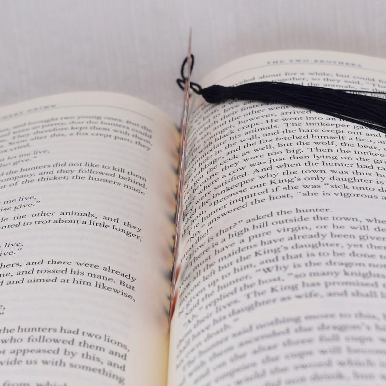 May include: Close-up of a book with a black tassel bookmark. The book is open to a page with text about two brothers and a hunter. The text reads, "...and the other went into an inn, gave his animals..."