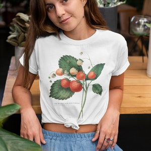 Peut inclure: Un t-shirt blanc avec une illustration vintage d'un plant de fraises avec des fraises rouges et blanches. Le texte "The Gardeners' Rose Strawberry" est imprim&eacute; sous l'illustration.