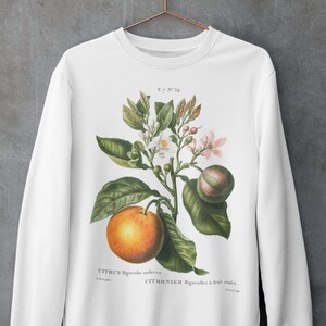May include: White sweatshirt with a vintage botanical illustration of a citrus tree with green leaves, white flowers, and a single orange fruit. The text "CITRUS Bigarada violacea. CITRONIER Bigaradier &agrave; fruit violet." is printed below the illustration.