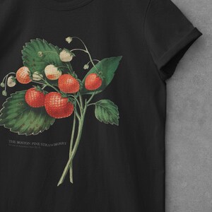 Peut inclure: T-shirt noir avec une illustration vintage d'une plante de fraises des bois de Boston avec des baies rouges et blanches et des feuilles vertes. Le texte "THE BOSTON PINE STRAWBERRY" est imprim&eacute; sous l'illustration.