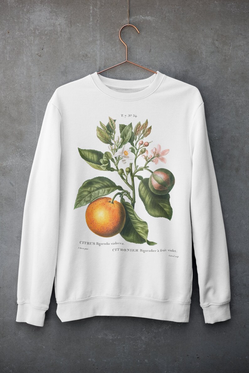 May include: White sweatshirt with a vintage botanical illustration of a citrus tree with green leaves, white flowers, and a single orange fruit. The text "CITRUS Bigarada violacea. CITRONIER Bigaradier &agrave; fruit violet." is printed below the illustration.