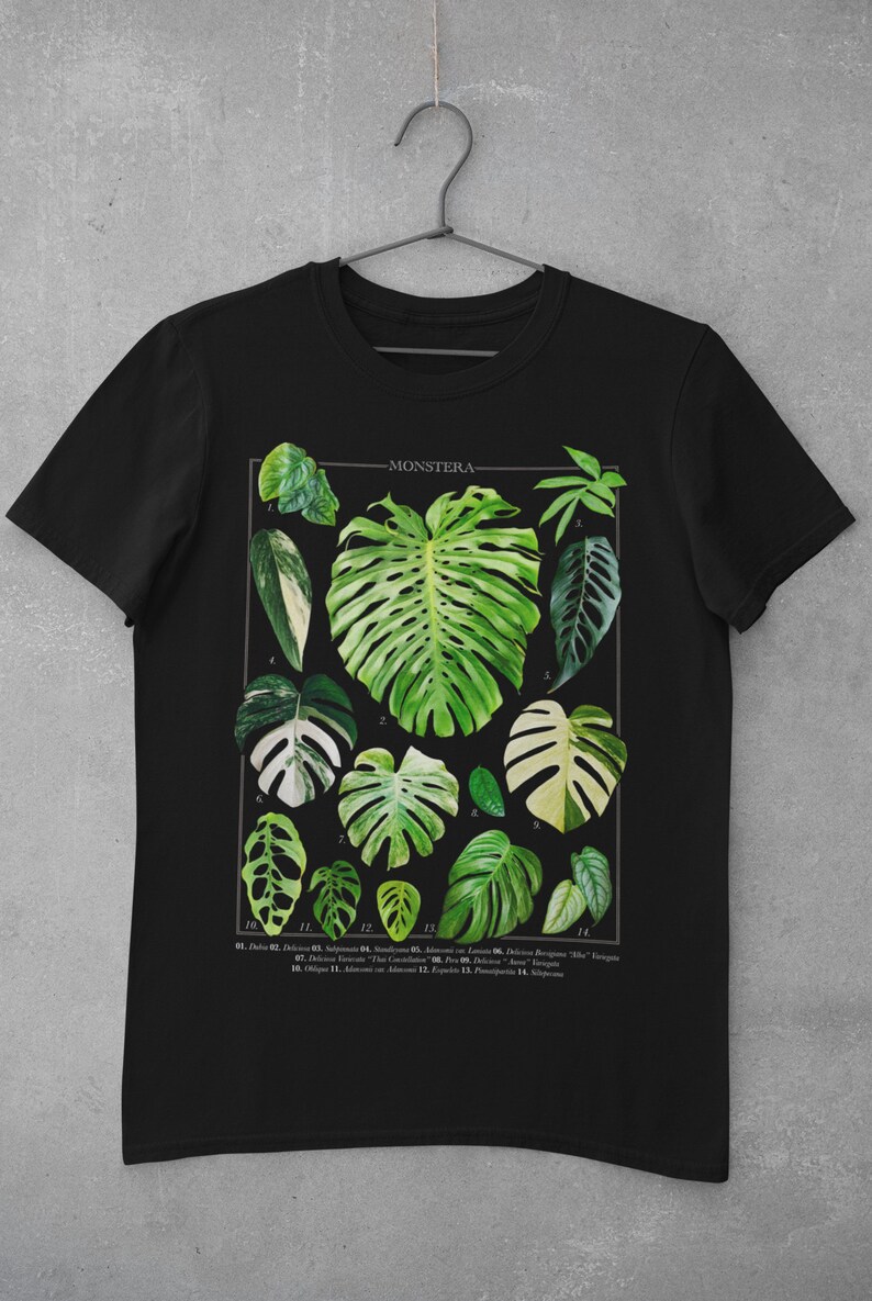 Monstera Varieties Chart T shirt Monstera Deliciosa Albo Etsy UK