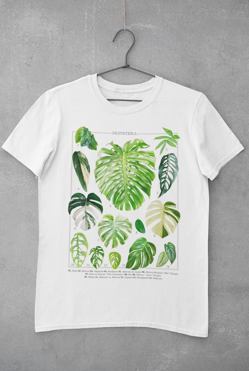 Monstera Varieties Chart T shirt Monstera Deliciosa Albo Etsy UK