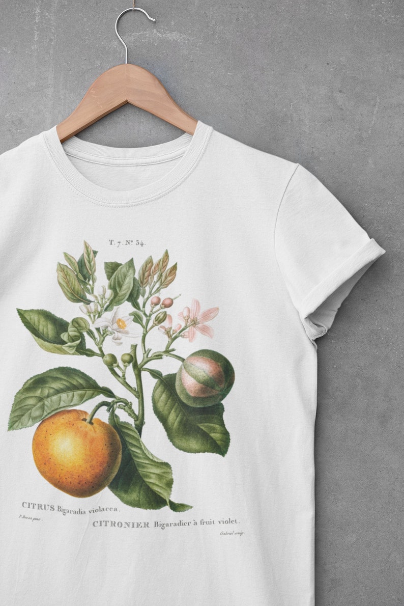 Vintage Orange tshirt Citrus Blossom Botanical shirt Botanical Illustration Vintage Aesthetic Fruit shirt Unisex image 2