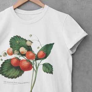 Peut inclure: T-shirt blanc avec une illustration vintage d'une plante de fraises des bois de Boston avec des baies rouges et des feuilles vertes. Le texte "THE BOSTON PINE STRAWBERRY" et "Fruits of America Plate No. 2" est imprim&eacute; sous l'illustration.