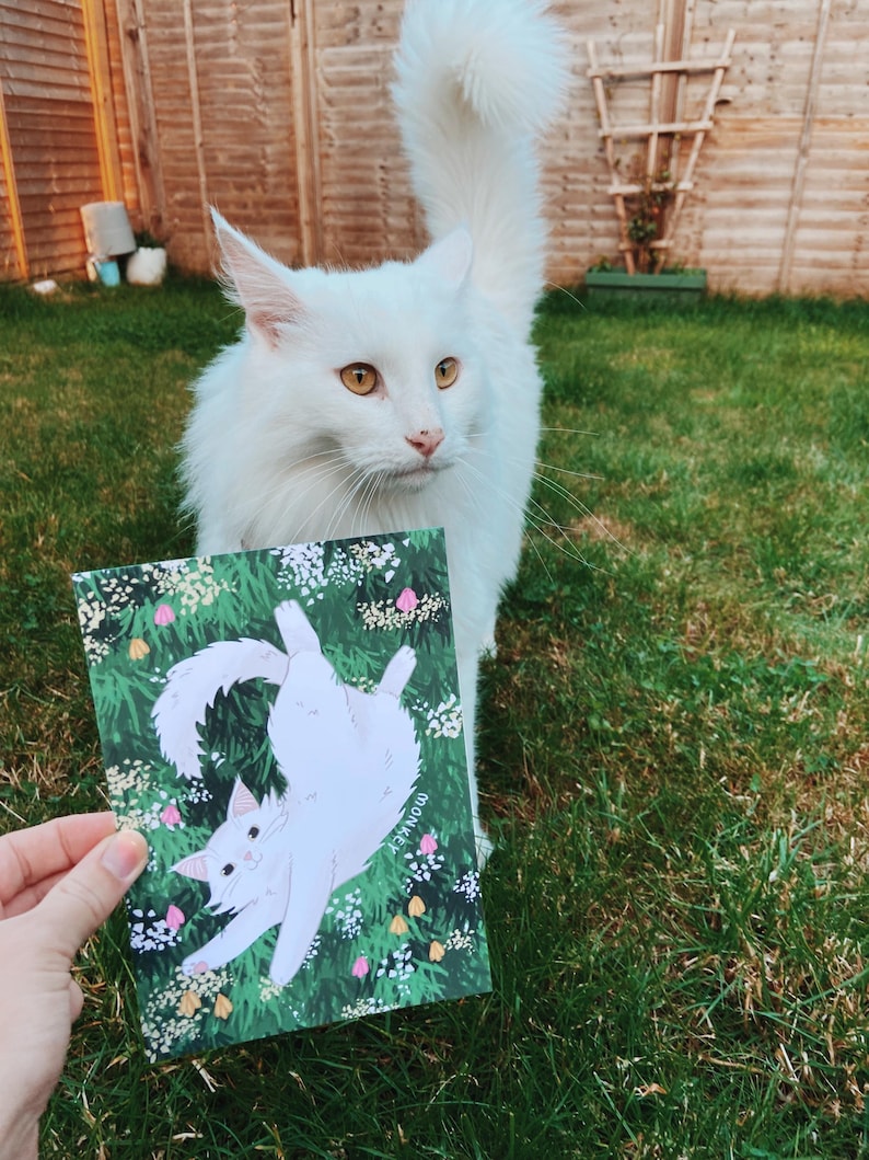 An example of a white fluffy cat next to the print.