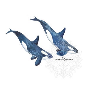 Orca Whale Killer Whale Art Print instant digital download printable Poster watercolor painting