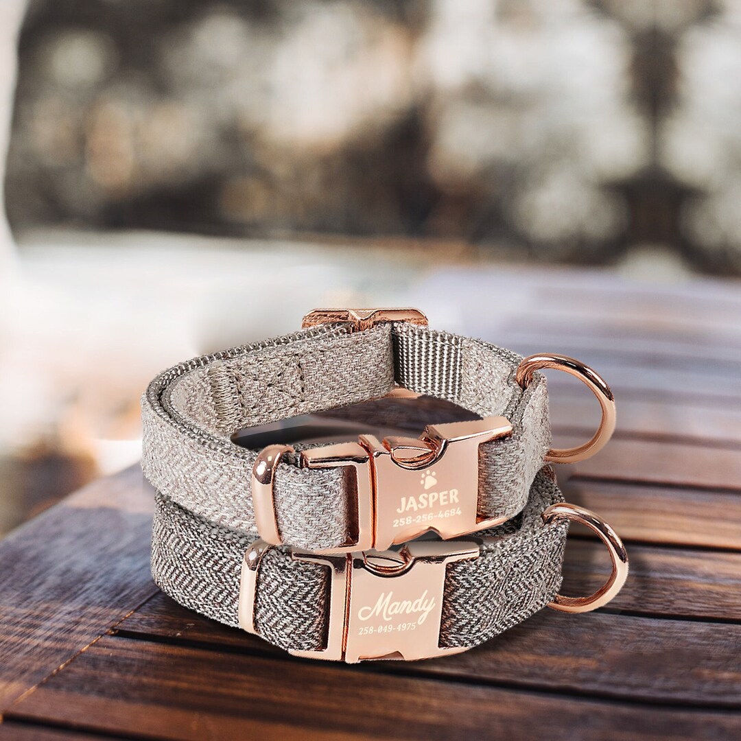 Dog Collar Personalized Custom Cat Collar With Name Engraved Etsy dog-collar-personalized-custom-cat-collar-with-name-engraved-etsy