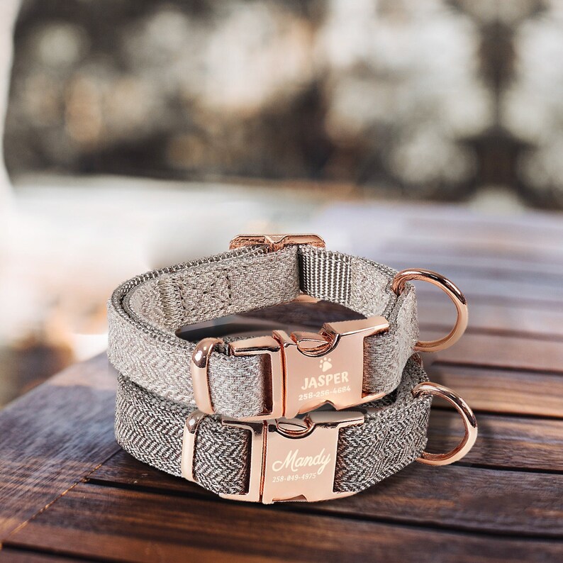 Dog Collar Personalized Custom Cat Collar With Name Engraved Etsy