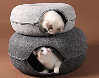 kitten tunnel