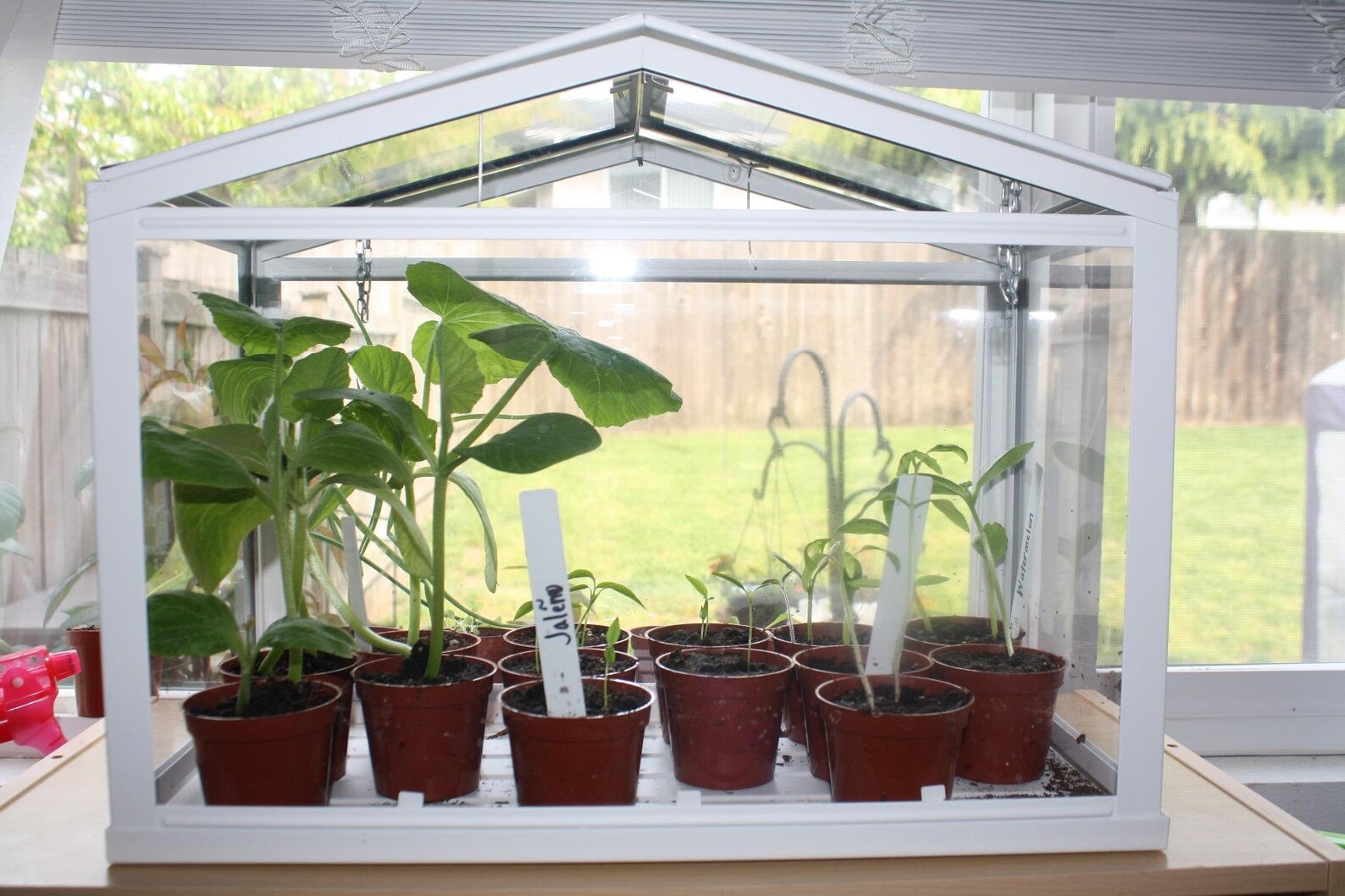 Glass Terrarium Ikea Greenhouse for Indoor Outdoor Decor Glass Etsy