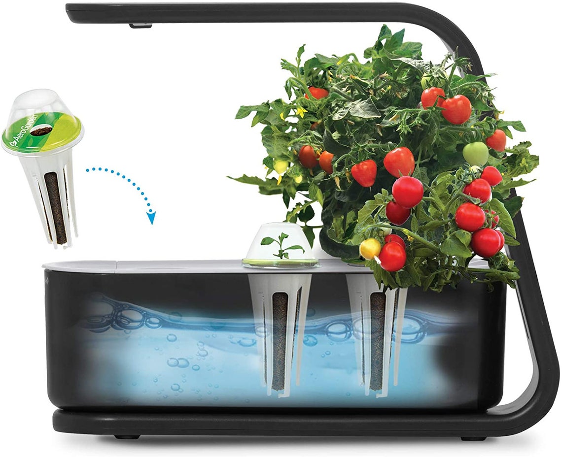 AeroGarden Sprout 3Pod Indoor Garden System w/ LED lighting Etsy