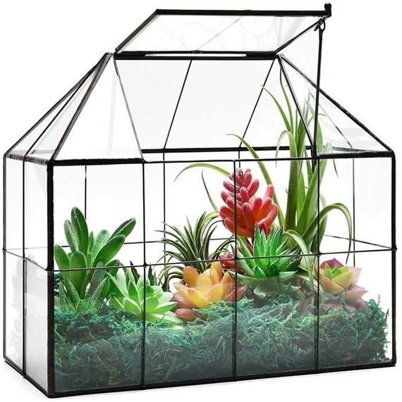 Glass Terrarium Large Glass Terrarium House Planter Etsy