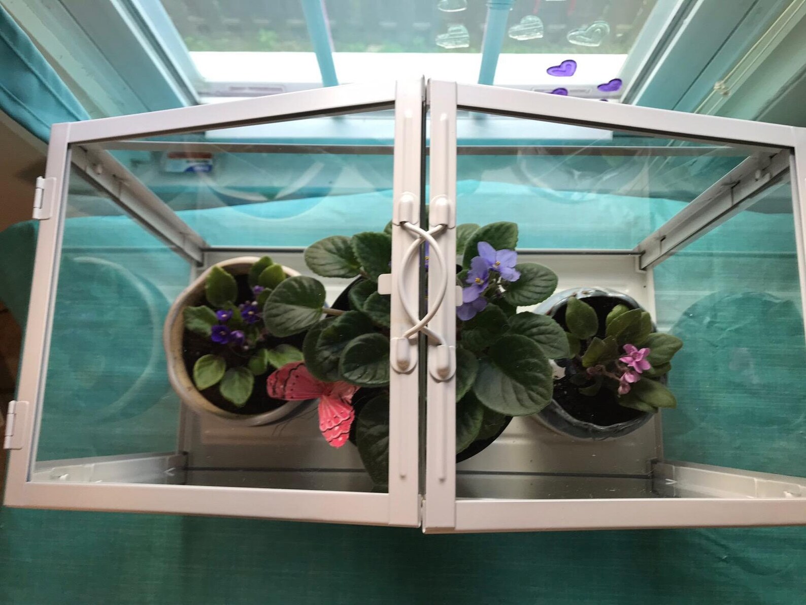 Glass Terrarium Ikea Greenhouse for Indoor Outdoor Decor Glass Etsy