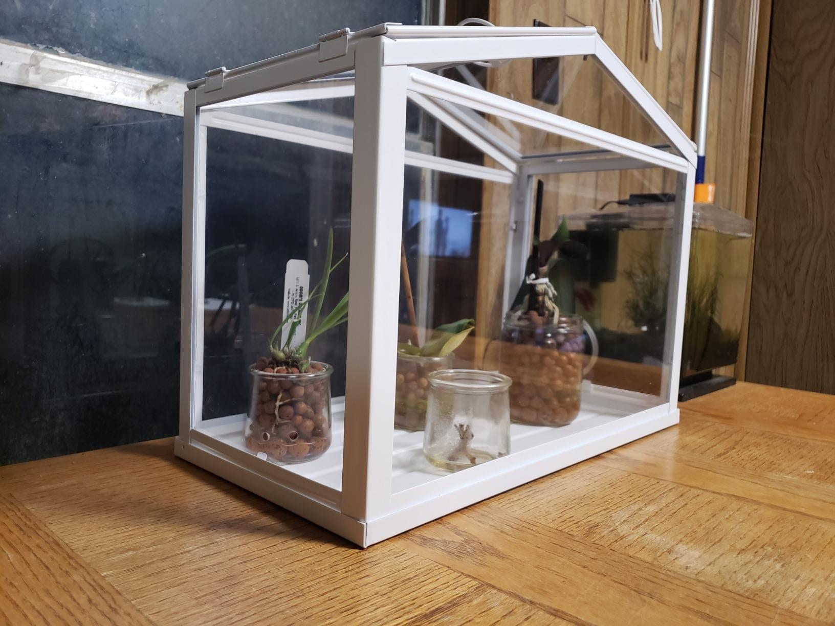 Glass Terrarium Ikea Greenhouse for Indoor Outdoor Decor Glass Etsy