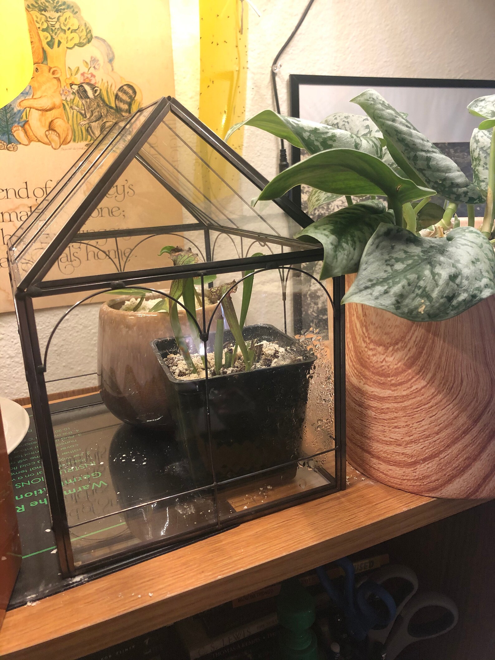 Glass Terrarium House Shape Geometric Succulent Watertight Etsy