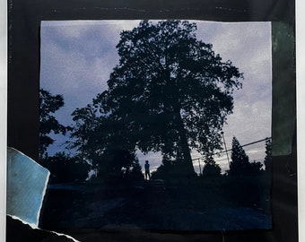 May include: A black and white photo of a large tree silhouetted against a cloudy sky. A person stands in the distance, looking up at the tree.