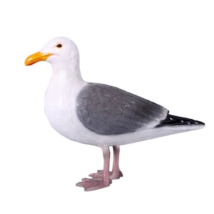 Seagull Standing Sculpture
