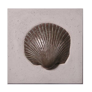 May include: A brown seashell with a textured surface is displayed on a white background. The shell is a decorative element for a home or office.