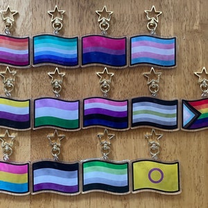 May include: A set of 12 colorful pride flag keychains with gold star charms. The flags are printed on clear acrylic and feature a variety of pride flags, including the lesbian, gay, bisexual, transgender, non-binary, pansexual, asexual, intersex, and genderfluid flags.