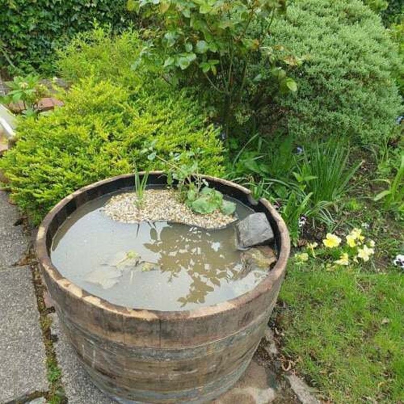 Watertight Whisky Barrel Large Genuine Half Barrel Oak Etsy UK