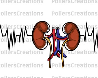 Kidney Heartbeat Png,Kidney Human Organ,Kidney Clipart,Heartbeat,Lungs,Nephrology,Two Bean-shaped Organs,Dialisis,Tech,Hand Drawn,Medicines