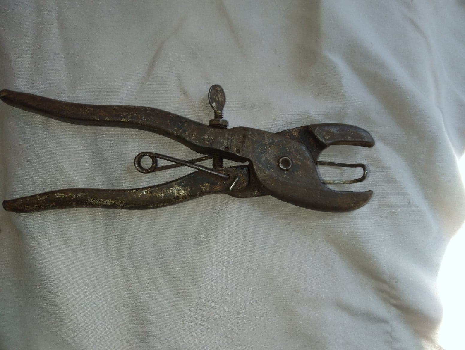 Antique Seymoor Hog Nose Ring Pliers with Nose Rings Etsy