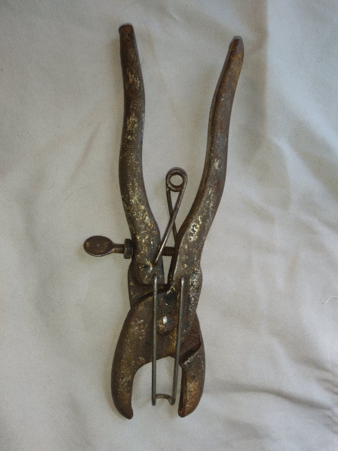 Antique Seymoor Hog Nose Ring Pliers with Nose Rings Etsy
