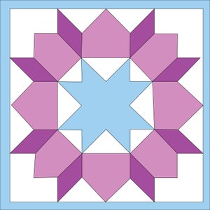 May include: A quilt block featuring a light blue star in the centre surrounded by eight pink and purple flower-shaped pieces.
