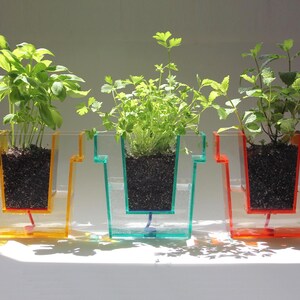 Self Planter