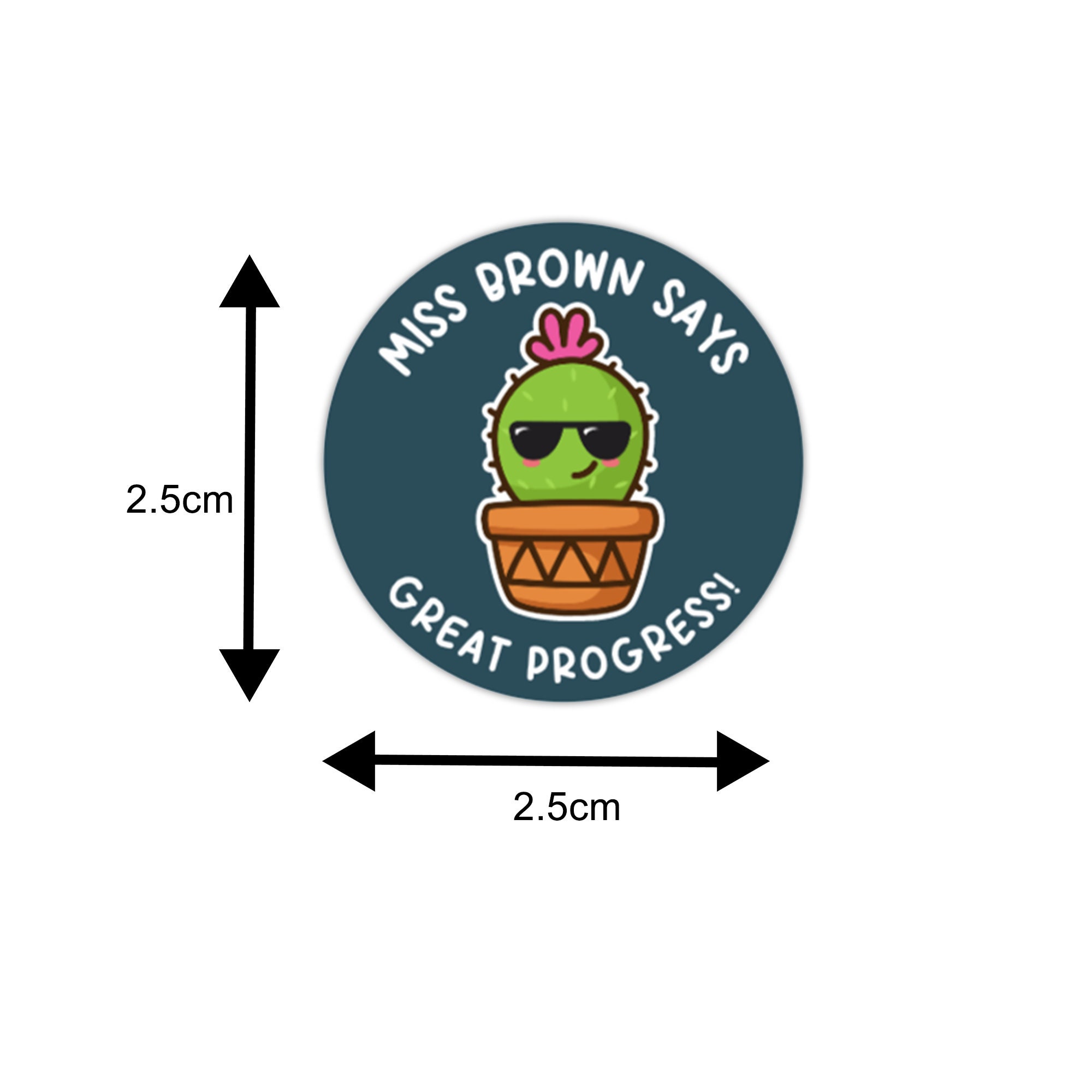 Personalised Cute Cactus Teacher Stickers Nature Stickers Etsy Australia