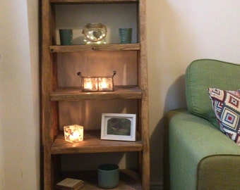 Bespoke Ladder Bookshelf