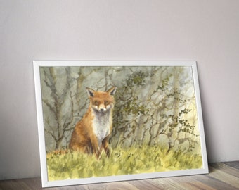 Fox Study | Watercolour Print