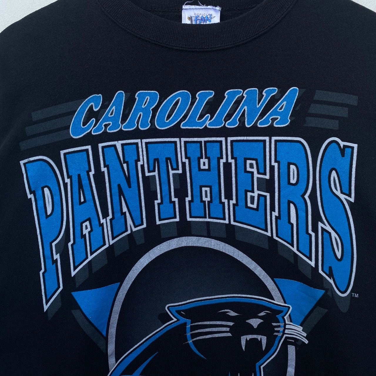 Vintage 1993 CAROLINA PANTHERS Nfl Sweatshirt Sweater Crew Neck