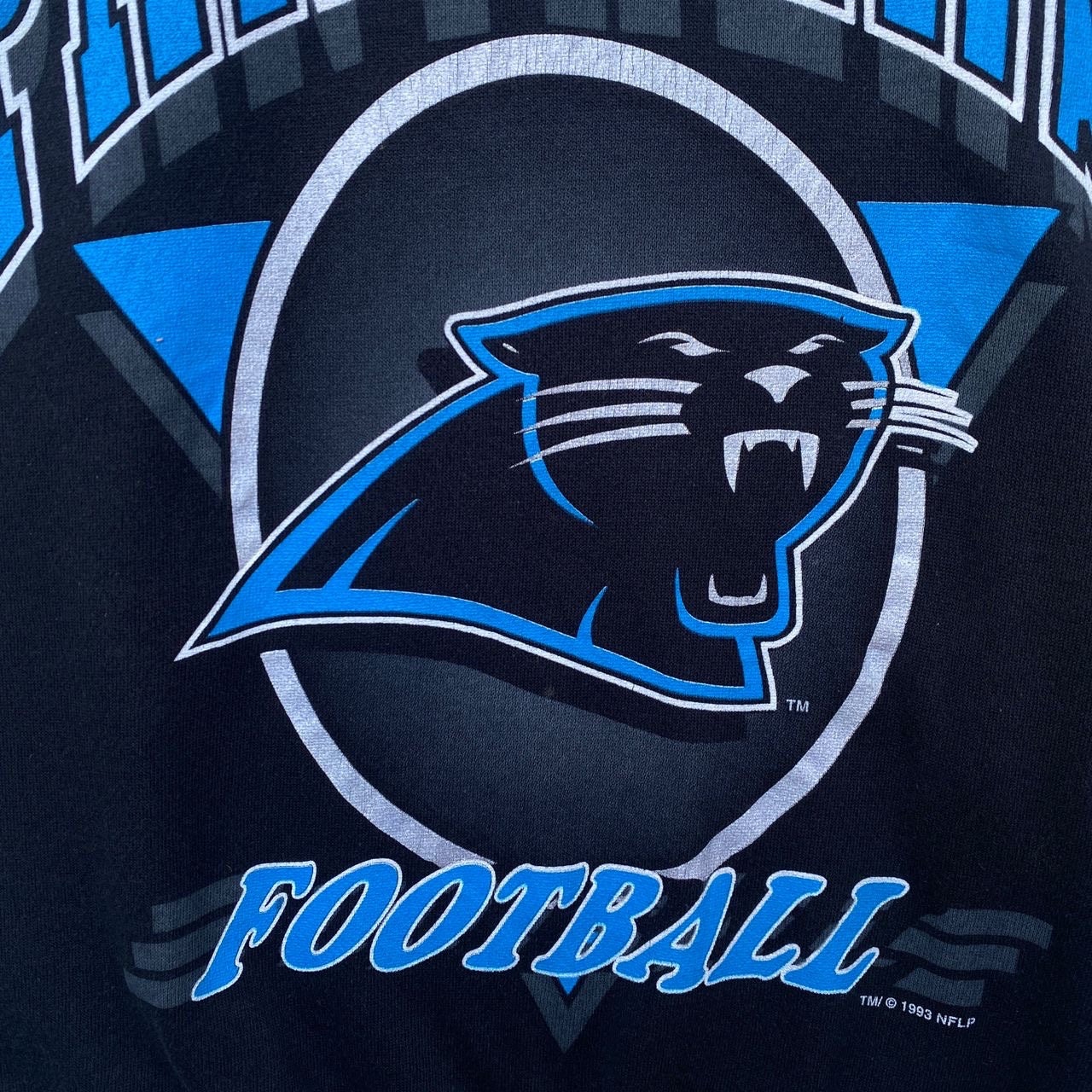 Vintage 1993 CAROLINA PANTHERS Nfl Sweatshirt Sweater Crew Neck