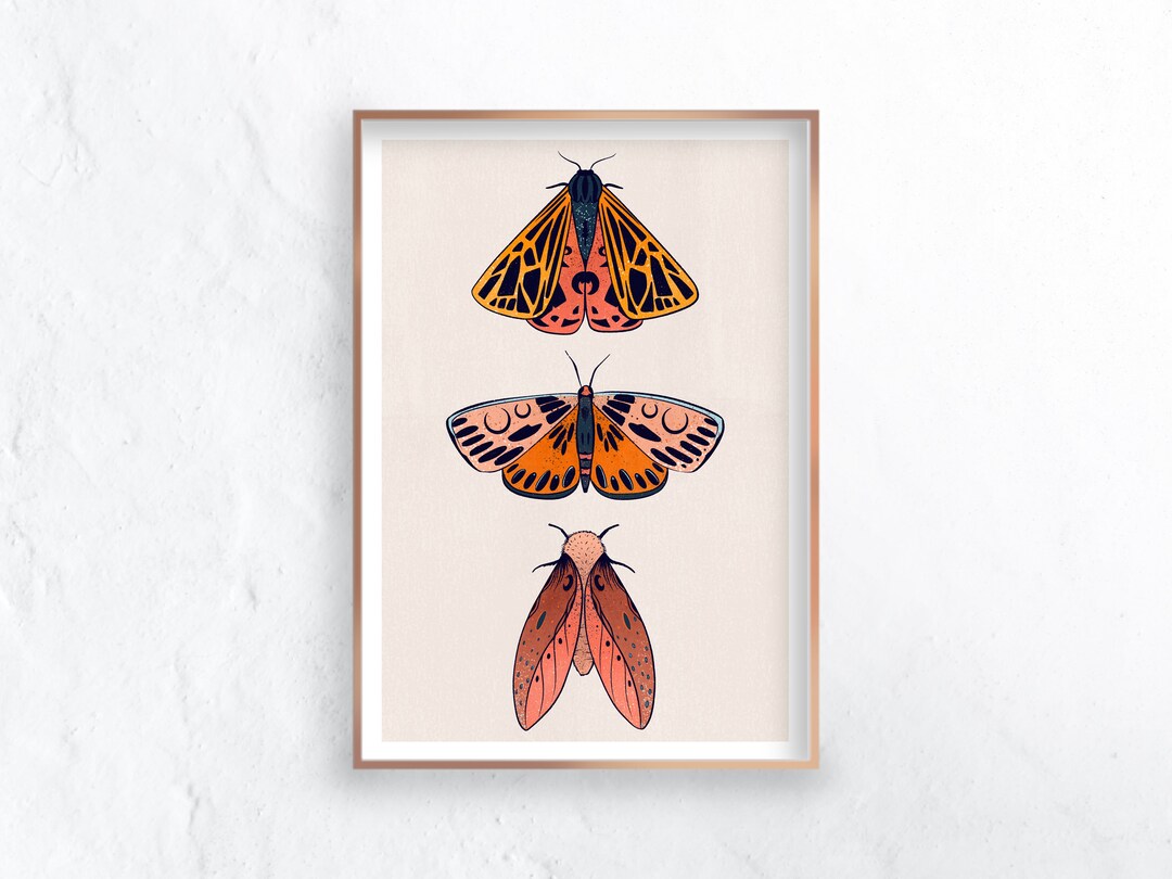 Moth Art Print, Three Orange Moths, Moon Moth, Bright Butterfly, Wall ...