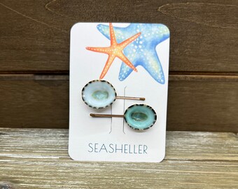 Limpet Seashell Hair Clip