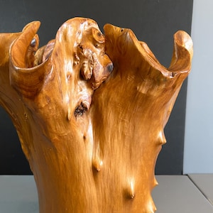 Vintage chinesisches Tannenholz geschnitzter hölzerner Pflanzbehälter natürliche Skulptur Kunst wiegt 8 Pfund 14 "hoch x 9" breit
