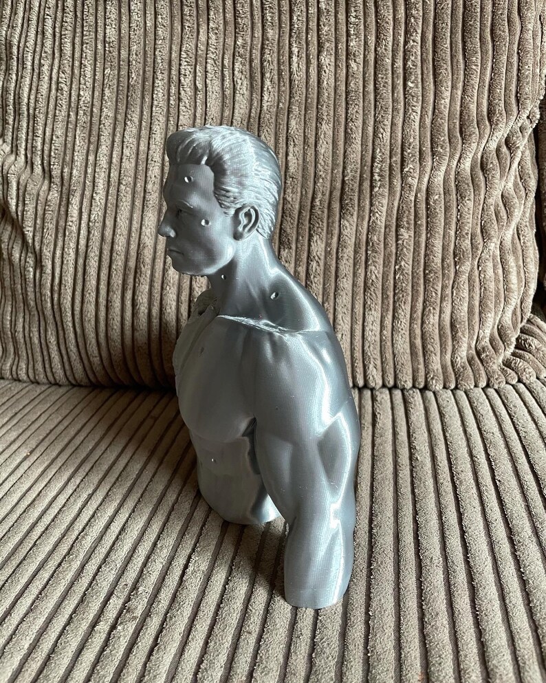 May include: A silver-colored 3D printed bust of a man with a muscular physique. The bust is detailed with defined muscles and a realistic facial expression.