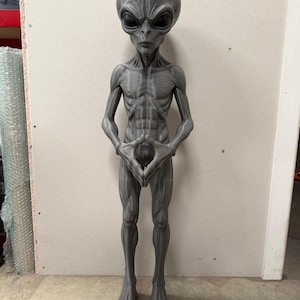 Pode incluir: Uma figura alien&iacute;gena humanoide alta e cinzenta com uma cabe&ccedil;a grande, lisa e oval, olhos escuros em forma de am&ecirc;ndoa e uma constitui&ccedil;&atilde;o esguia e musculada. A figura est&aacute; de p&eacute; com as m&atilde;os juntas &agrave; frente do torso, com dedos das m&atilde;os e p&eacute;s longos e finos.