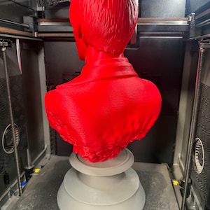 May include: A bright red bust of a person, viewed from the back, with short hair and a collared shirt. The bust is mounted on a gray, tiered pedestal. The sculpture is inside a 3D printer.