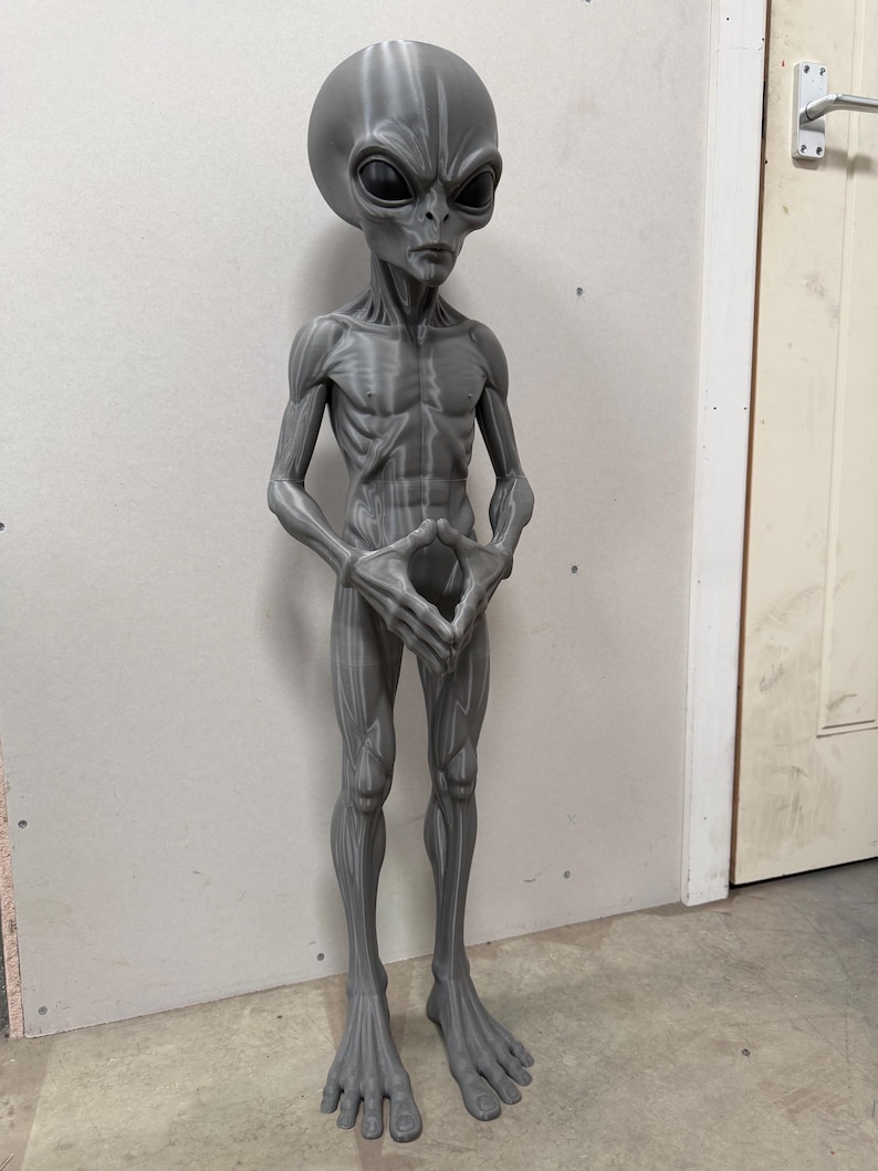 Pode incluir: Uma figura alien&iacute;gena humanoide alta e cinzenta com uma cabe&ccedil;a grande, lisa e oval, olhos escuros proeminentes e uma constitui&ccedil;&atilde;o esguia e musculosa. A figura est&aacute; de p&eacute; com as m&atilde;os juntas &agrave; frente do tronco, apresentando texturas em camadas.