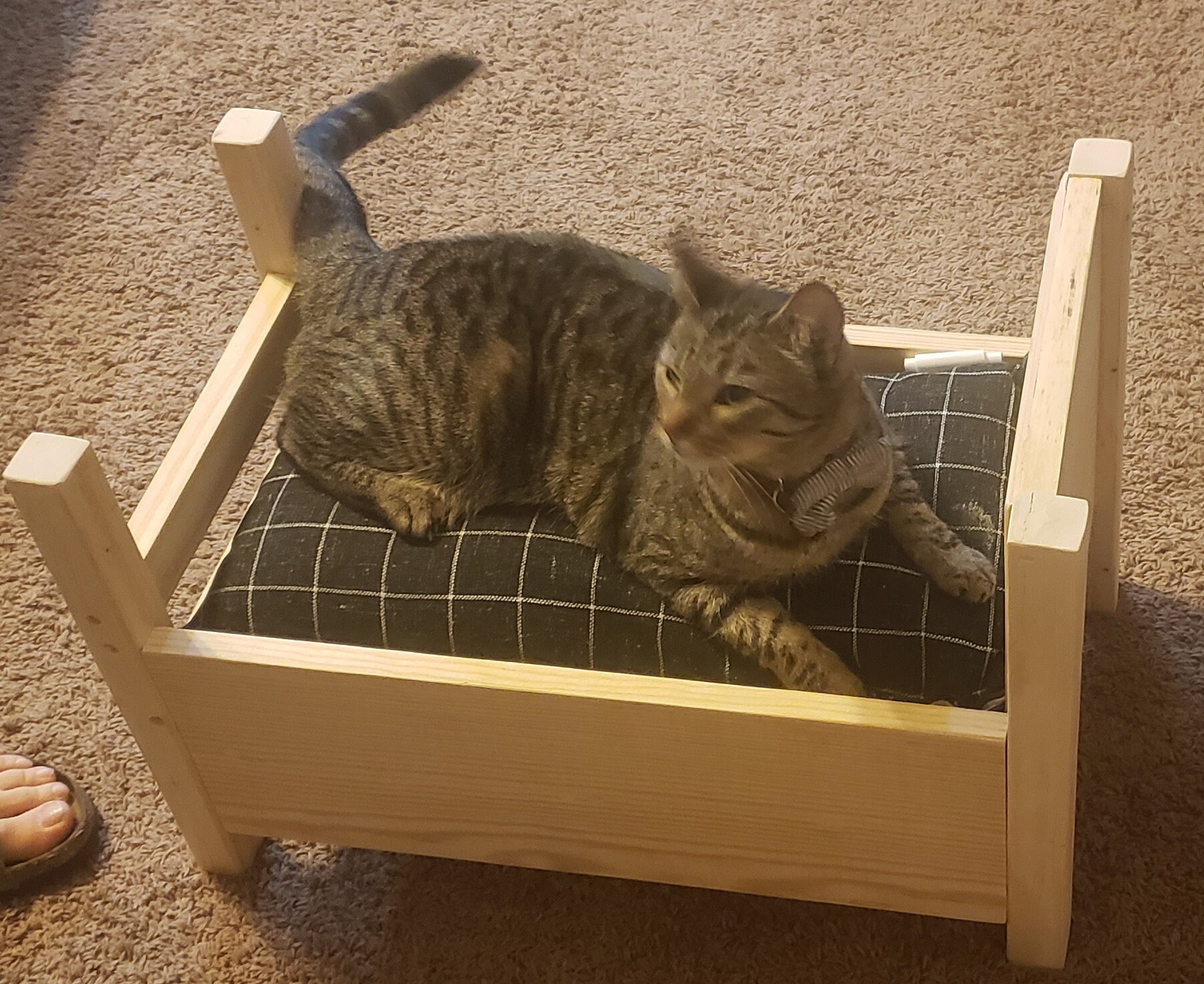 Handmade Wood Cat Wall Bed Pet Bed Cat Shelf Bed Animal Etsy 日本