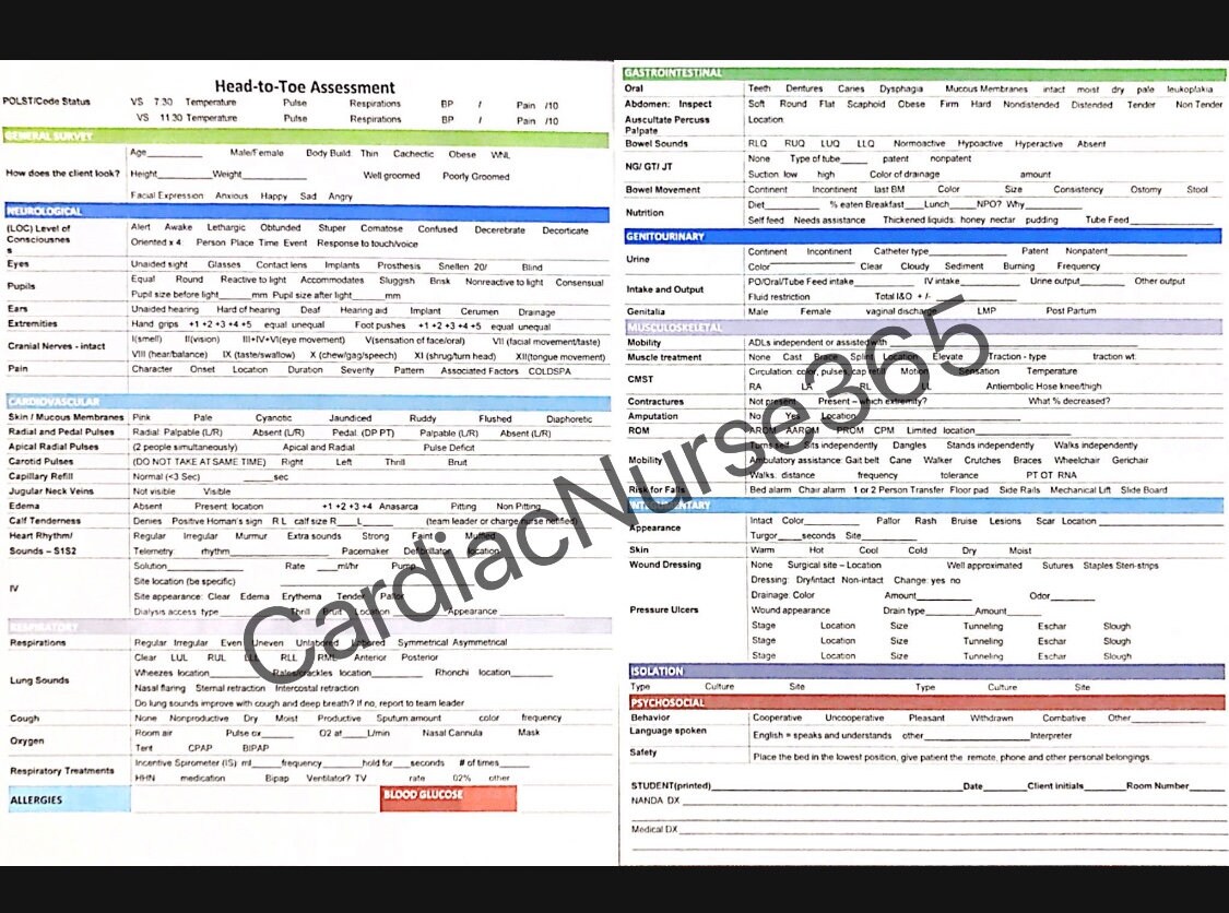 Head-to-toe Template Nursing Assessment Study Guide - Etsy