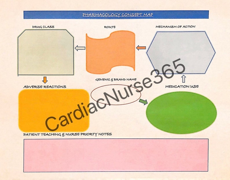 Pharmacology Concept Map Etsy