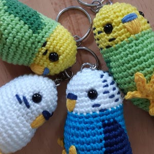 Crochet pattern Bubi the budgie / Instructions / Amigurumi / PDF / Pattern / Bird / Parakeet / German AND English