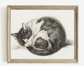 Vintage Cat Print, Farmhouse Wall Art, Printable Cat Sketch, D5 , INSTANT DOWNLOAD