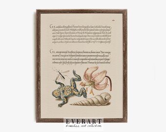 Vintage Witchcraft Print, Water Gnat, Martagon Lily, Toad and Shell , Witchy Academia Decor | Printable Wall Art, h46 , INSTANT DOWNLOAD