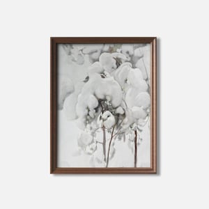 Puede incluir: Una pintura enmarcada de una escena de invierno nevada. La pintura representa un primer plano de un grupo de árboles cubiertos de nieve. Los árboles son de color gris claro y la nieve es blanca. El fondo es de color gris claro.