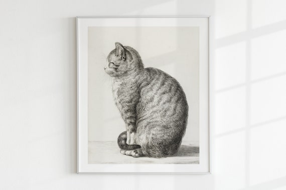 Vintage Cat Drawing, Country Decoration, Farmhouse Wall Art, Printable Sketch, D4 , INSTANT DOWNLOAD